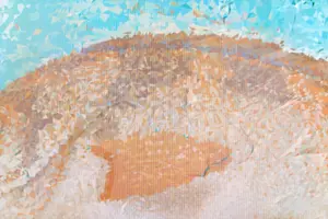 櫻井崇史「絵を見る会」インスタレーションビュー