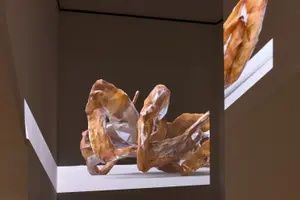 櫻井崇史「絵を見る会」インスタレーションビュー