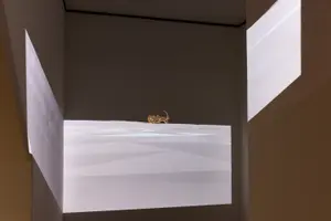 櫻井崇史「絵を見る会」インスタレーションビュー