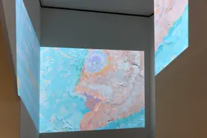 櫻井崇史「絵を見る会」インスタレーションビュー