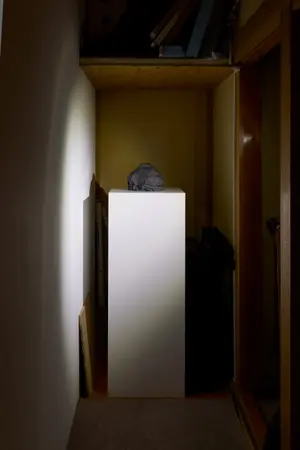 櫻井崇史「絵を見る会」インスタレーションビュー