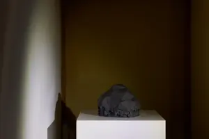 櫻井崇史「絵を見る会」インスタレーションビュー